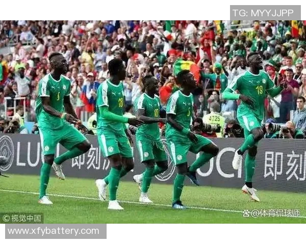 塞纳加尔足球明星的崛起与辉煌历程探秘