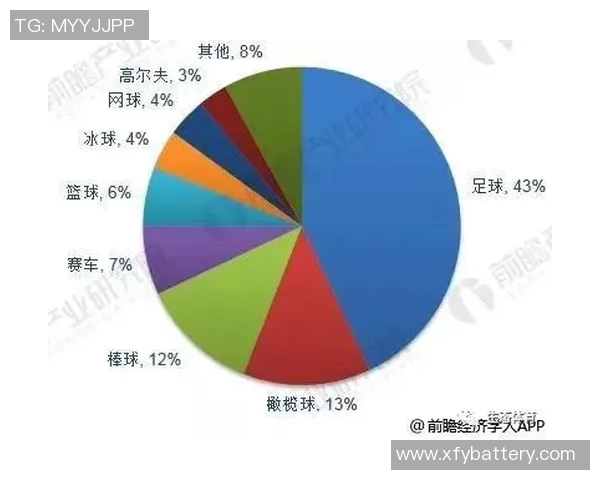孙大圣足球明星的真实身份揭秘及其在足球界的影响力分析