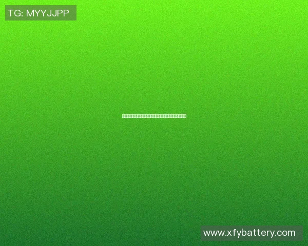 公园健身器材的多样选择与使用指南助你健康生活每一天